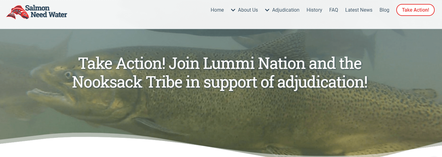 banner from the Salmon Need Water website